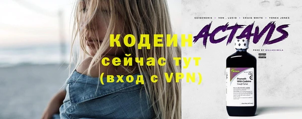 СК Снежногорск
