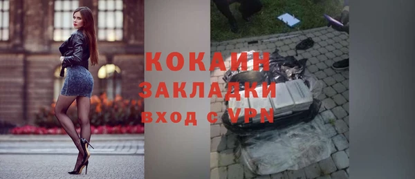 тгк Снежинск