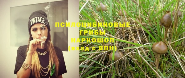 СК Снежногорск