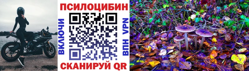 хочу наркоту  Югорск  Галлюциногенные грибы мицелий 